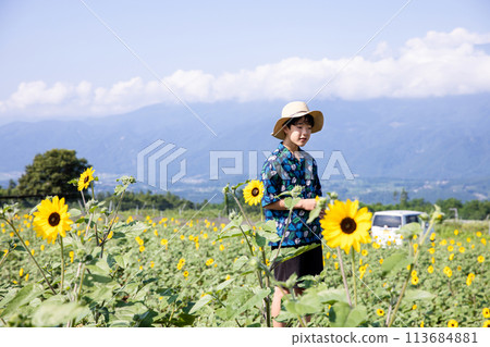 Child walking through a sunflower field Child walking through a sunflower field 113684881