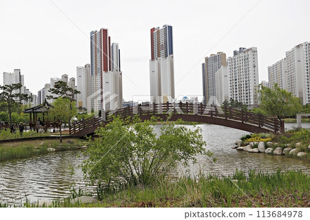 city in the spring city in the spring 113684978
