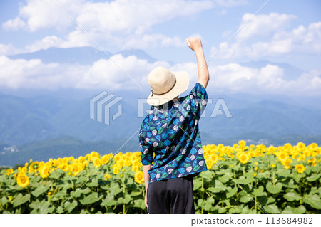 Child walking through a sunflower field Child walking through a sunflower field 113684982