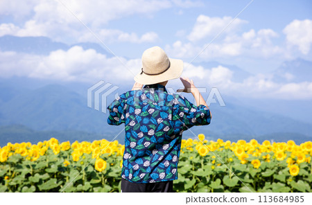 Child walking through a sunflower field Child walking through a sunflower field 113684985