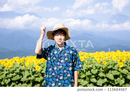 Child walking through a sunflower field Child walking through a sunflower field 113684987