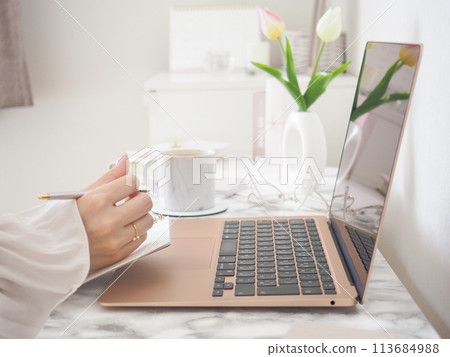The hands of a woman taking notes while looking at a laptop in a room with a feminine and cute interior The hands of a woman taking notes while looking at a laptop in a room with a feminine and cute interior 113684988