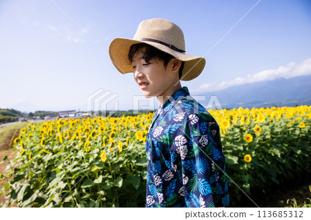 Child walking through a sunflower field Child walking through a sunflower field 113685312