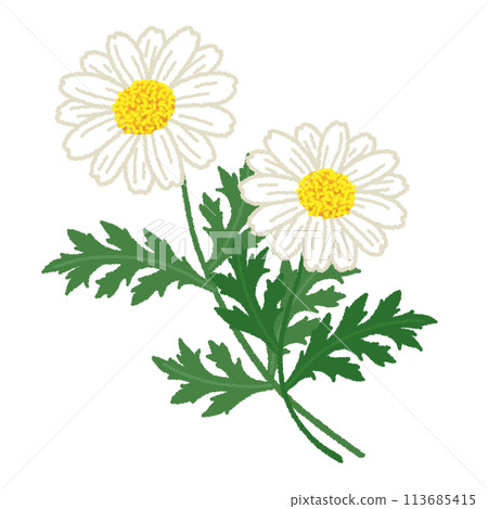 Illustration of Margaret 113685415