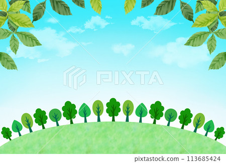 Trees and blue sky Natural background material Trees and blue sky Natural background material 113685424