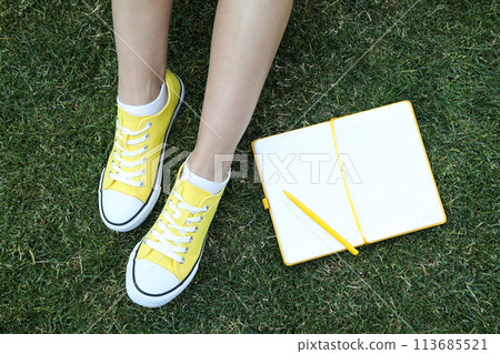 An open notebook with a pen on the grass An open notebook with a pen on the grass 113685521