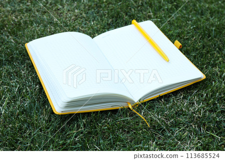 An open notebook with a pen on the grass 113685524