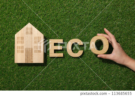 A decorative house on the grass, the concept of an eco house A decorative house on the grass, the concept of an eco house 113685655
