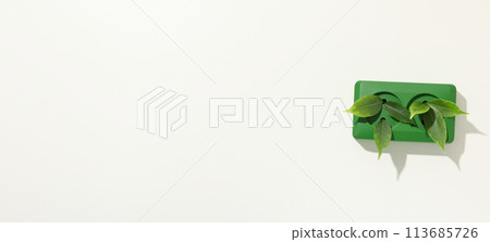 Eco house concept, green rosette with leaves 113685726