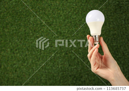 A light bulb in a hand on a background of grass 113685737