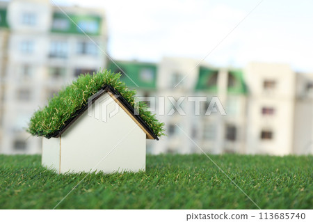 PNG,Decorative house with moss on the roof, isolated on white background 113685740