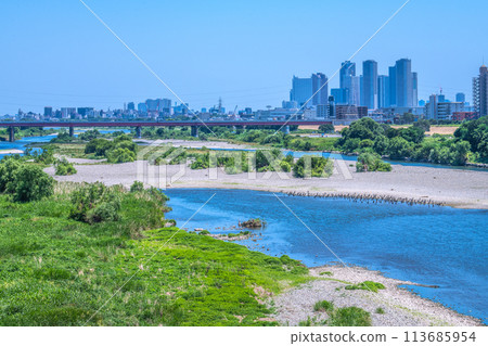 Tokyo cityscape in Japan Waterfowl and green riverbanks... Tamagawa River near Futako Tamagawa Station. In the background are the high-rise apartment complexes in front of Musashi-Kosugi Station. (17th) 113685954