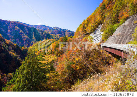 秋葉駕車《岐阜縣乃木峠週邊》 秋葉駕車《岐阜縣乃木峠週邊》 113685978