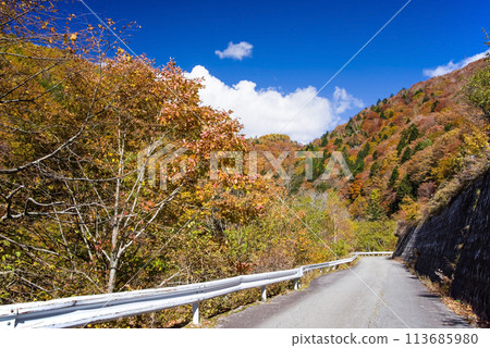 秋葉駕車《岐阜縣乃木峠週邊》 113685980