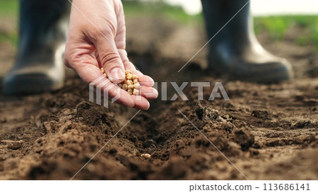 Farmer hand sprinkles seeds into ground, planting. Close up palm fingers arm with corn seeds planting vegetables in freshly plowed bed. Agricultural Big Business, Hard Labor on Farms to Provide Food 113686141