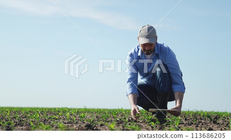 Businessman digital agricultural farmer with tablet. Man male farm worker takes care of corn crops sowing shoots videos takes photos manages resources monitors condition of crop harvest in field. Businessman digital agricultural farmer with tablet. Man male farm worker takes care of corn crops sowing shoots videos takes photos manages resources monitors condition of crop harvest in field. 113686205