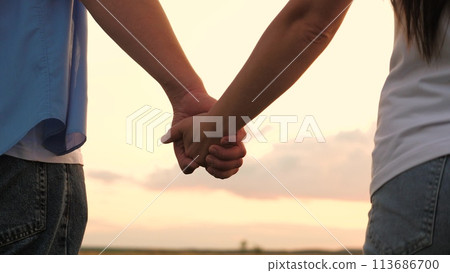 Couple man and woman taking hands to each other at sunset sky summer meadow romantic date closeup. Enamored male and female holding arms together with love tenderness best feelings outdoor back view 113686700