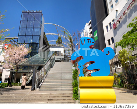Cherry blossoms blooming in Miyashita Park, Tokyo 113687389