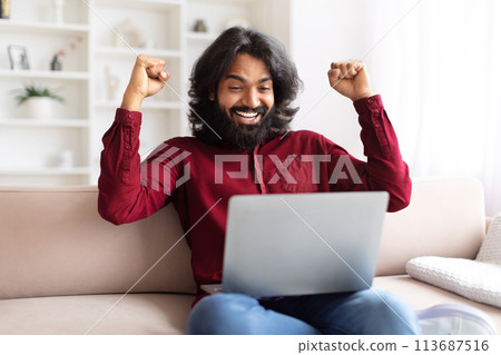 Excited man celebrating success with laptop at home 113687516