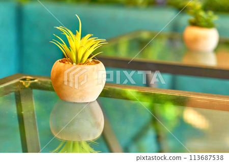 Flower pot with plant on a table in a cafe Flower pot with plant on a table in a cafe 113687538