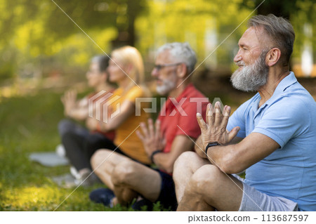 Group of focused seniors practicing yoga in serene park setting Group of focused seniors practicing yoga in serene park setting 113687597