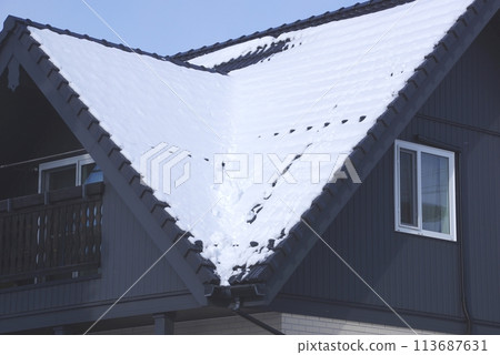 Effectiveness of snow guards on steeply sloping roofs Effectiveness of snow guards on steeply sloping roofs 113687631
