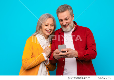Happy mature couple browsing and typing messages on phone, studio 113687789