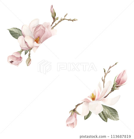 Light pink magnolia flowers, buds, sprigs and leaves. Floral watercolor illustration hand painted isolated on white background. Wreath of spring blossom for cosmetic packaging, print, label or logo. 113687819
