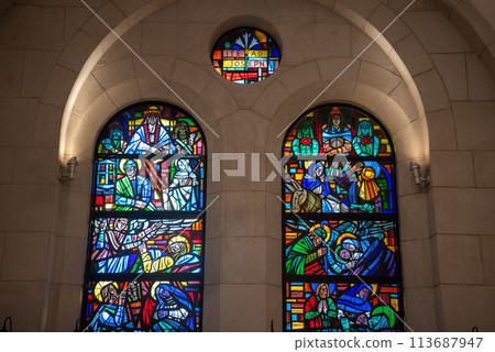 菲律賓馬尼拉馬尼拉大教堂美麗的風景 113687947