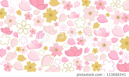 白底日式櫻花向量背景插畫素材【橫】 113688341