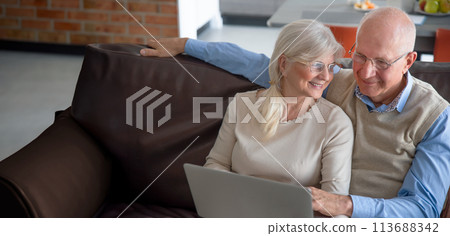 Senior couple using laptop for chatting Senior couple using laptop for chatting 113688342