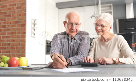 Senior couple doing bill calculations at home Senior couple doing bill calculations at home 113688343