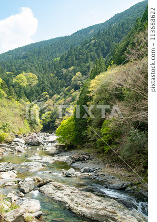 Wakayama Prefecture Tamagawa Gorge Nyukawa River Early summer river play 113688622