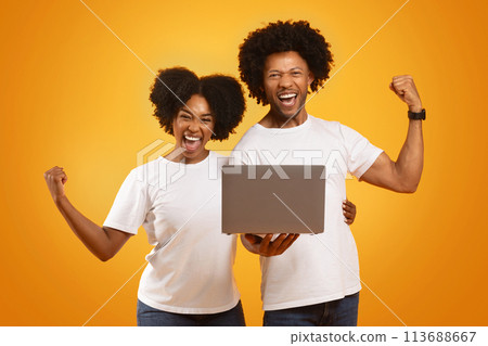 Happy african american man and woman with laptop gesturing Happy african american man and woman with laptop gesturing 113688667