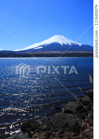 三月的晴空和從山中湖看到的富士山 三月的晴空和從山中湖看到的富士山 113688874