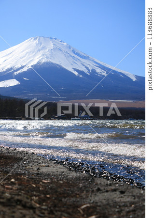 三月的晴空和從山中湖看到的富士山 三月的晴空和從山中湖看到的富士山 113688883