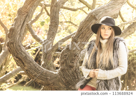 Beautiful autumnal woman in park 113688924