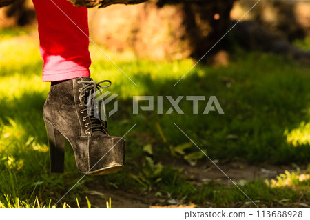 Female foot in elegant black shoes. 113688928