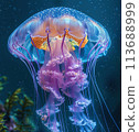 Close-Up of Jellyfish Floating Elegantly on Marine Background 113688999