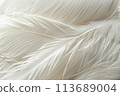 Blurred texture of white feathers with rain drops. Background of lightness and purity 113689004