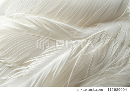 Blurred texture of white feathers with rain drops. Background of lightness and purity Blurred texture of white feathers with rain drops. Background of lightness and purity 113689004