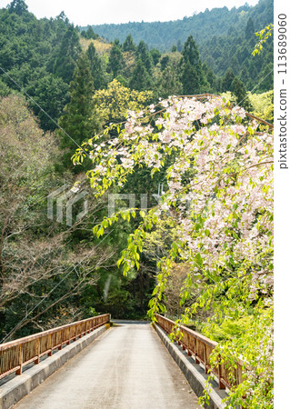 A school route to Kudoyama Town, Wakayama Prefecture 113689060