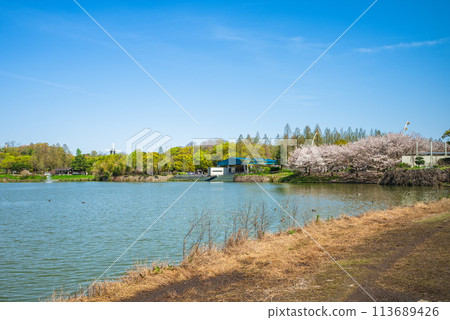 Scenery of Tsurumi Ryokuchi Park located in Osaka city, Kansai, Japan Scenery of Tsurumi Ryokuchi Park located in Osaka city, Kansai, Japan 113689426
