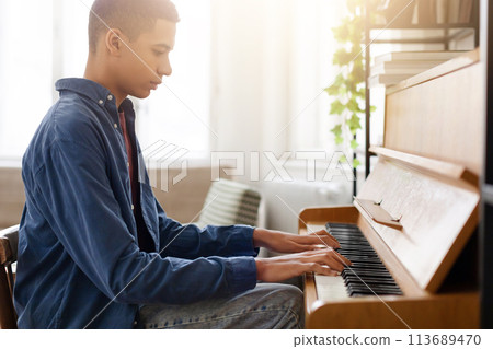 Young man playing piano in bright room 113689470