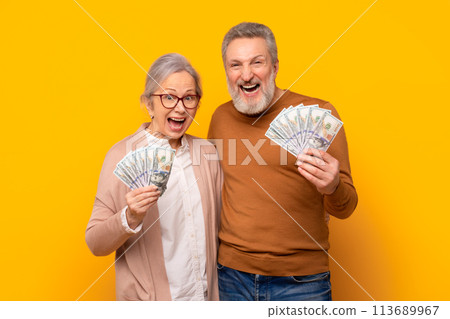 Excited emotional senior couple holding money cash over yellow background Excited emotional senior couple holding money cash over yellow background 113689967
