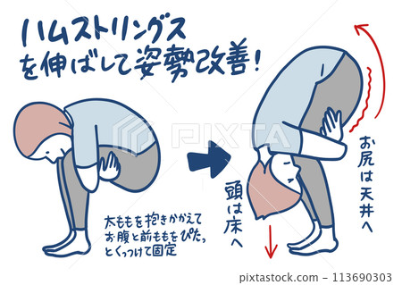 vector, vectors, female 113690303