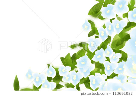 九重葛,九重葛花卡 7 九重葛,九重葛花卡 7 113691082