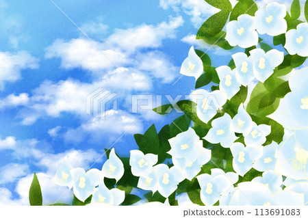 九重葛,九重葛花卡8 九重葛,九重葛花卡8 113691083