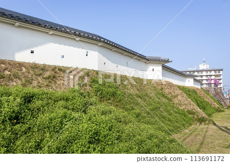 Nishio City, Nishio Castle's folding screen mud wall 113691172