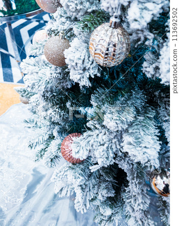 Christmas, Christmas Tree, tree 113692502